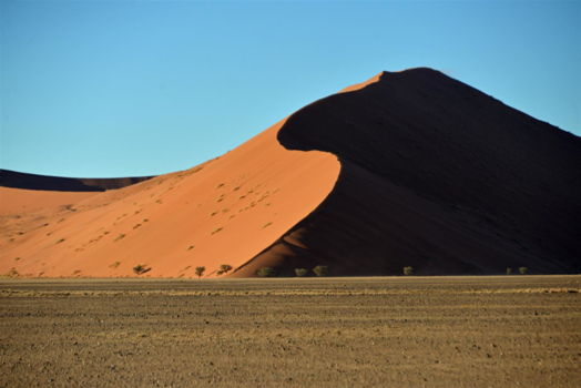 Sossusvlei - Big Daddy, hoogste duin