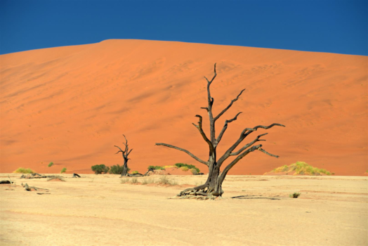 Sossusvlei - Sossusvlei, dal