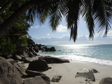 Seychellen - en toen zagen we te laat de springende dolfijnen