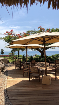 Stranden van Zanzibar - ZANZIBAR!  ZON, ZEE , STRAND  ... PARADISE