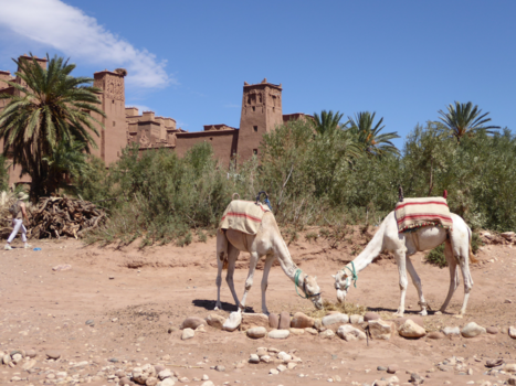 Rondreis Marokko koningssteden en zandduinen - De kashba van Aït Ben Haddou.
