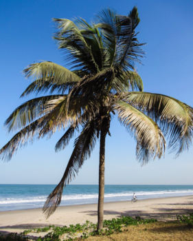 Banjul - The beach biker