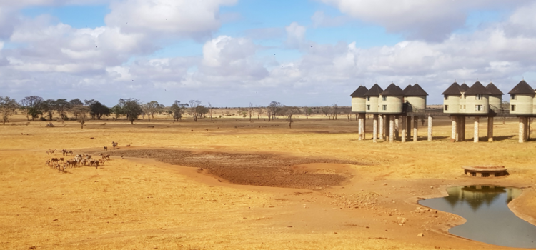 Rondreis Kenia - Het paradijs bestaat