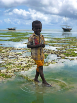 Stranden van Zanzibar - Let's play!?