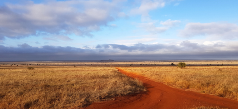Rondreis Kenia - Ochtend kleuren