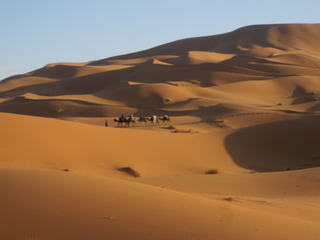 Marokko - Magisch Mariokko