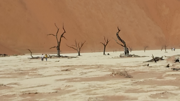 Namibië - Sossusvlei
