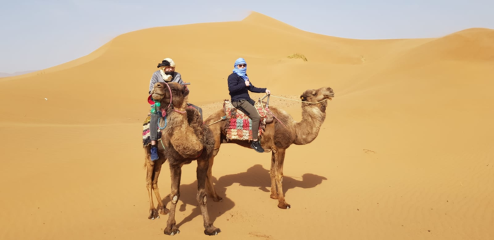 Rondreis hoogtepunten Marokko - Kameelrijden in de sahara