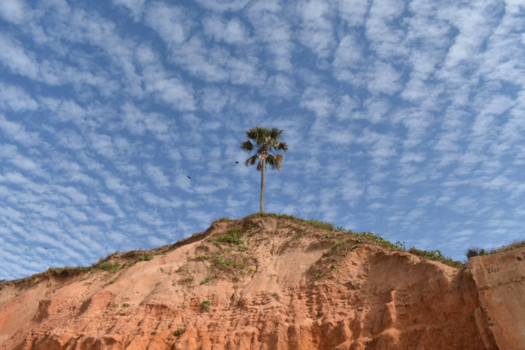 Kotu Beach - The beauty of Africa