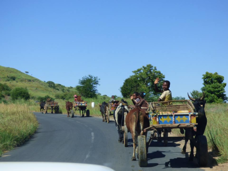 Madagaskar - madagassies naar de markt