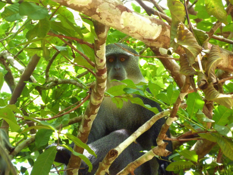 Tanzania - You talking to me?