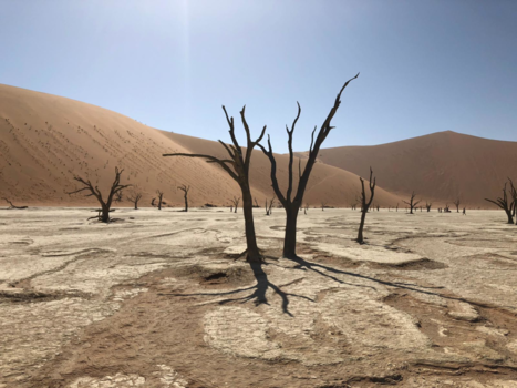 Namib-woestijn - Earth?