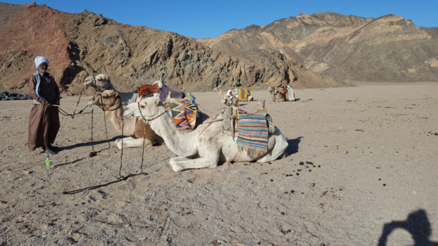 Egypte - Some people make the world special just by being in it