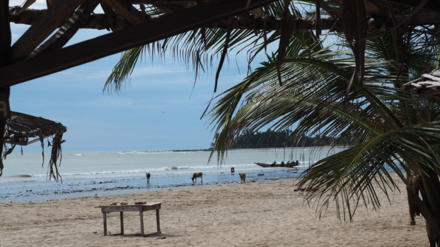 Gambia - Paradise Beach