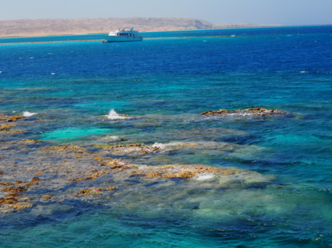 Egypte - De Rode Zee