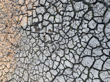 Zambia - Droogte in Afrika.. een schrikbarend feit door klimaatverandering.
