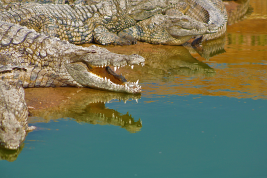 Marokko - Spiegeltje, spiegeltje....