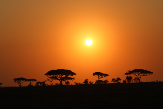 Serengeti National Park - Sunrise in het prachtige Serengeti National park in Tanzania!