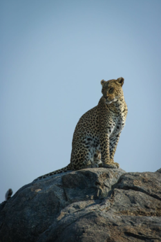 Serengeti National Park