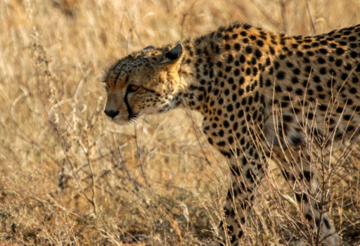 Serengeti National Park