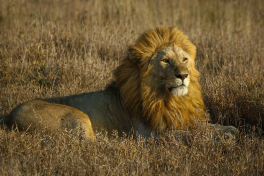 Serengeti National Park