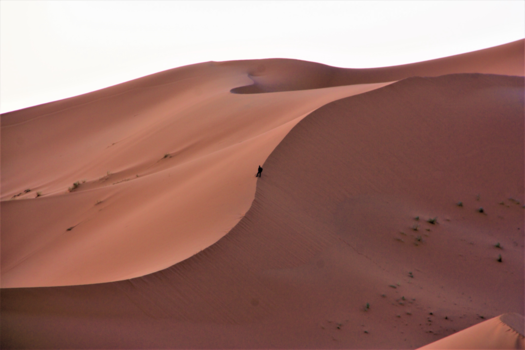 Rondreis hoogtepunten Marokko - zonsopkomst in de Sahara