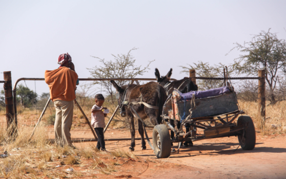 Namibië - Als ik maar een mobiele telefoon heb, Namibië