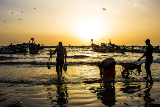Gambia - Visvangst