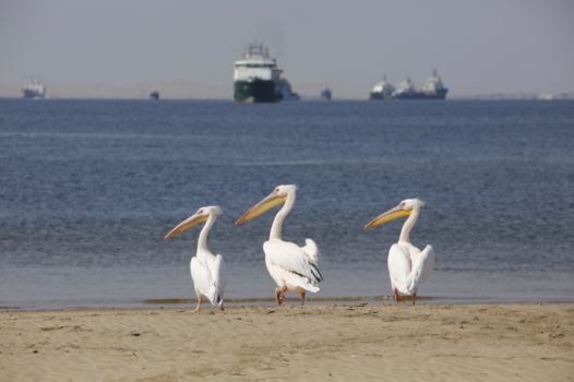 Namibië - Waiting for the bus...