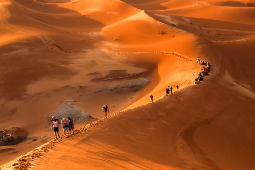 Marokko - In de duinen