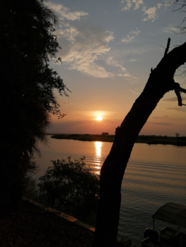 Chobe National Park - Genieten!