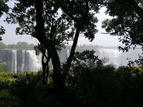 Victoria Falls (Zimbabwe) - Victoria Falls