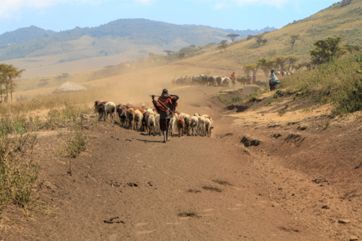 Tanzania - Dag in! Dag uit!