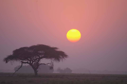 Kenia - Sunset in Tsavo