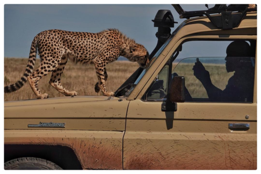 Tanzania - Nurture vs nature