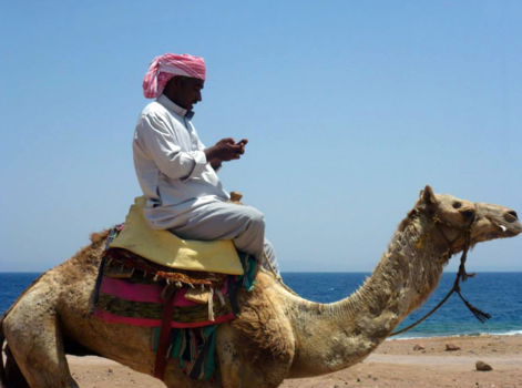 Egypte - Mobiele kameel