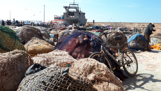 Rondreis Marokko koningssteden en zandduinen