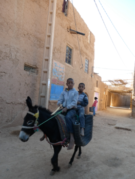 Rondreis Marokko koningssteden en zandduinen