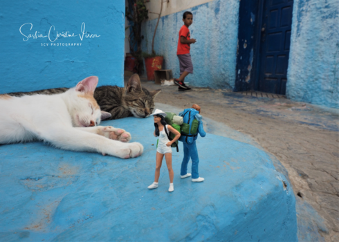 Rondreis hoogtepunten Marokko - Feeling blue