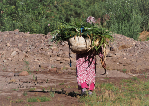 Rondreis hoogtepunten Marokko - Op weg