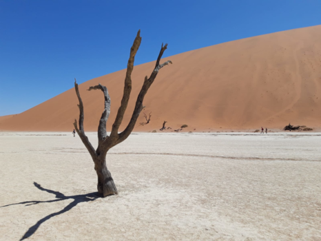 Sossusvlei - Doodse stilte