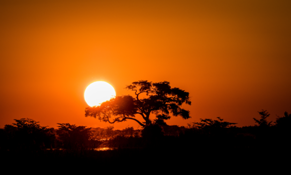 Namibië - Typisch Afrika