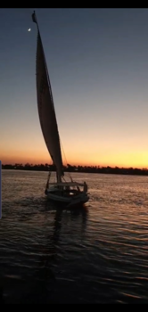 Luxor - Falucca on Nile Luxor