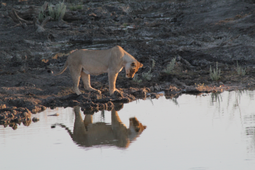 Namibië - Mmmm..... morgen de kapper weer 's even bellen...