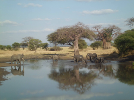 Tanzania - In love!