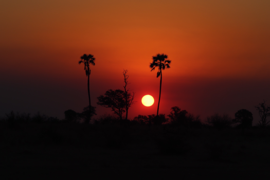Okavango Delta - Zonsondergang