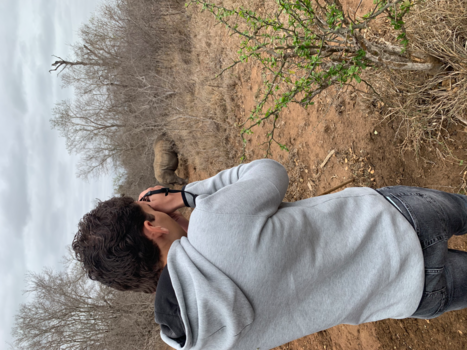 Hlane en Mkhaya wildparken - Witte neushoorn verstopt zich achter een bosje