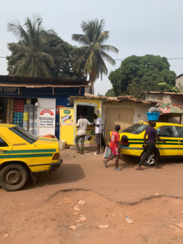 Senegambia - Curiosity