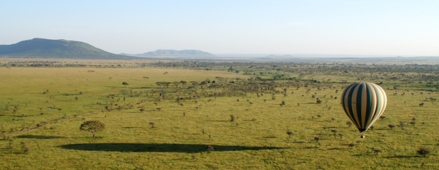 Serengeti National Park - Serengeti