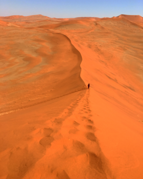 Namibië - Lost in sand